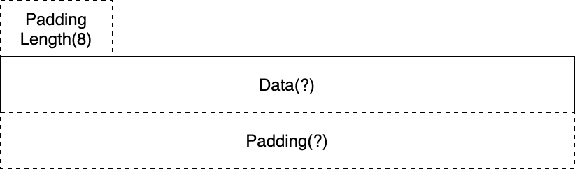 DATA帧Payload结构